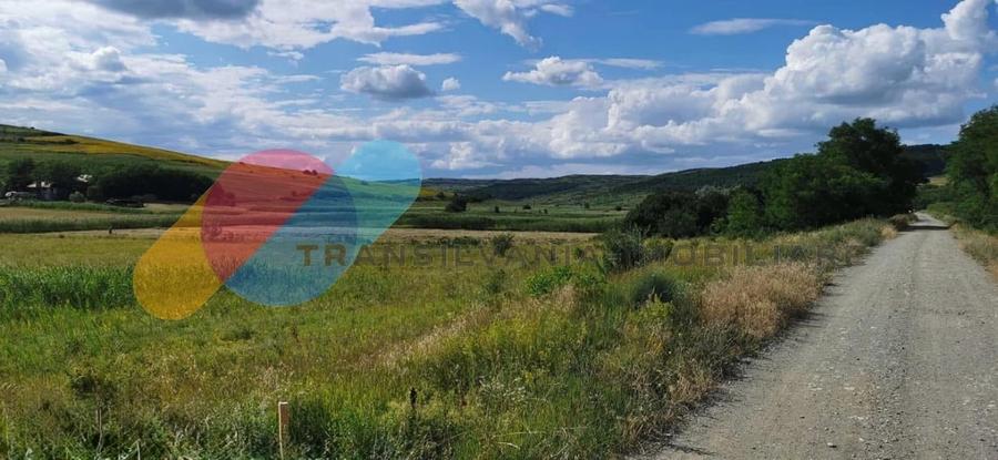 Teren intravilan 17400mp Campenesti - 2