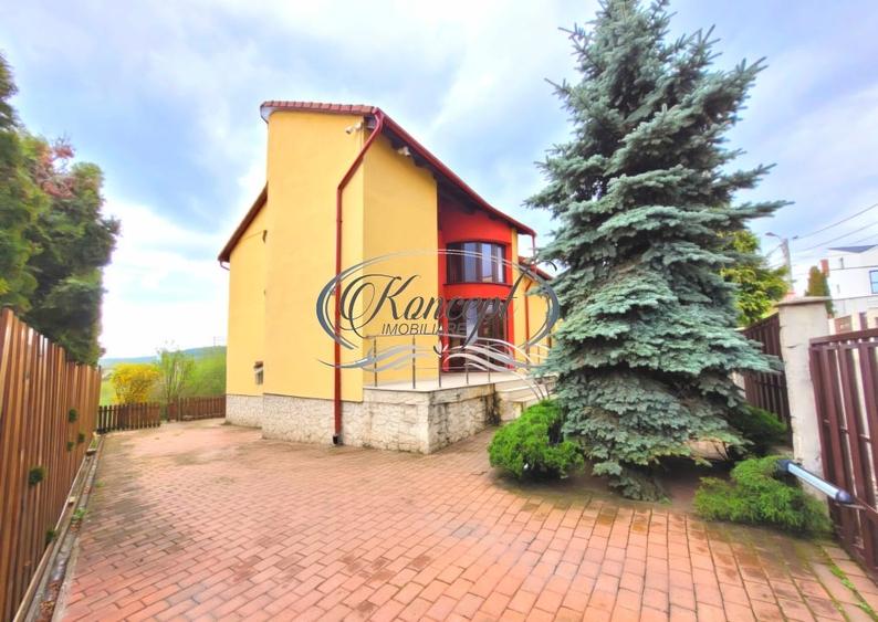 Proprietate eleganta cu gradina generoasa si acces facil Europa - 4