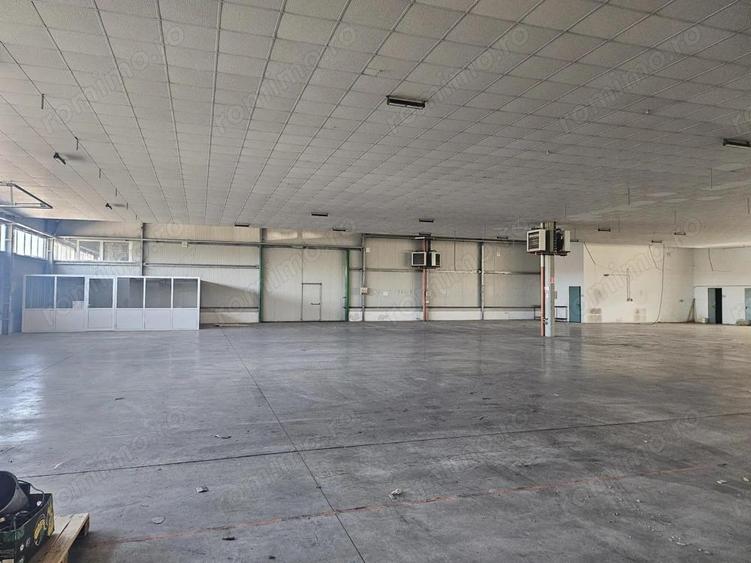 Hala Calea Lugojului 1400 mp 6000 euro - 6