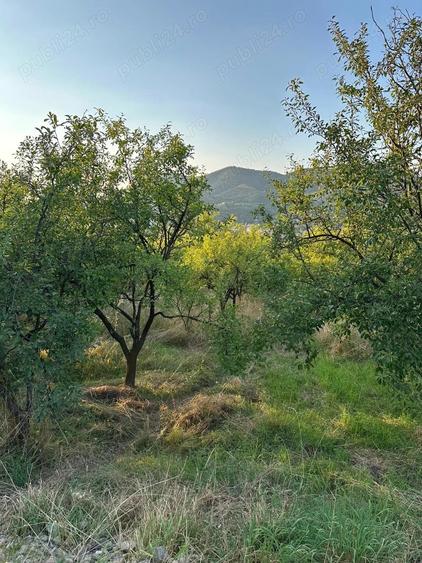 Teren intravilan 1.000 mp loca?ie deosebita, priveli?te ?i lini?te Simleu Silvaniei - 2