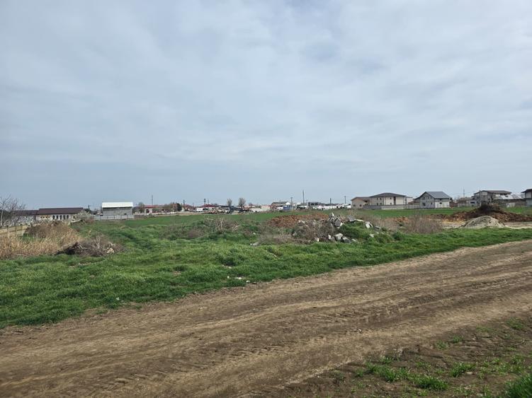 Vanzari terenuri in Ovidiu - 2