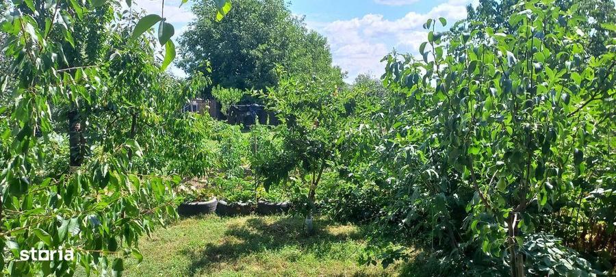 Casa in Biharia la strada principala cu 2 camere, bucatarie, baie - 3