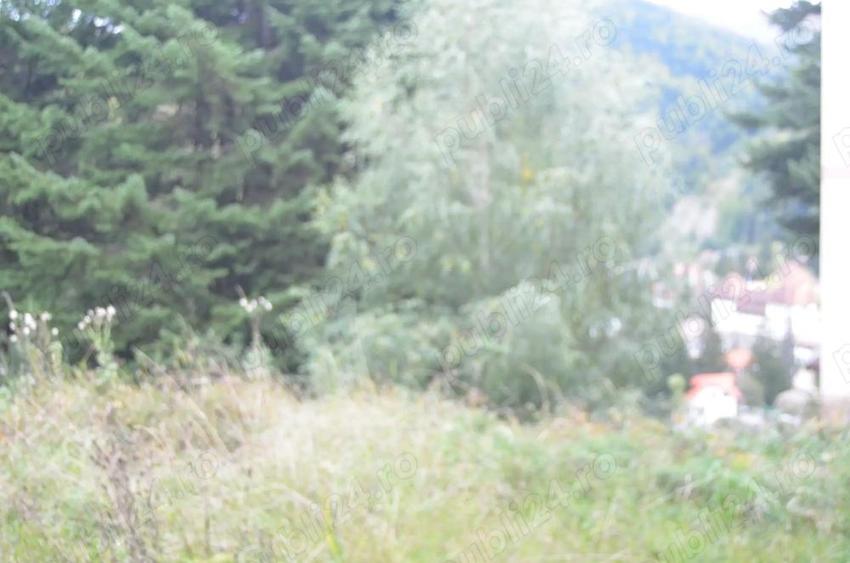 Teren intravilan situat in Busteni-Valea Alba - 5