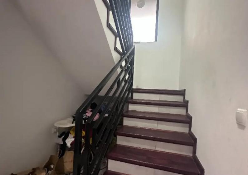 VIGAFON - Casa 5 camere Cornesti-Dambovita - 4