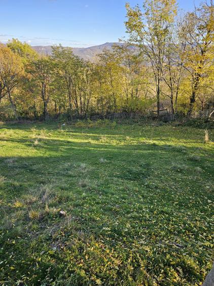 Loturi de Vanzare! - 2