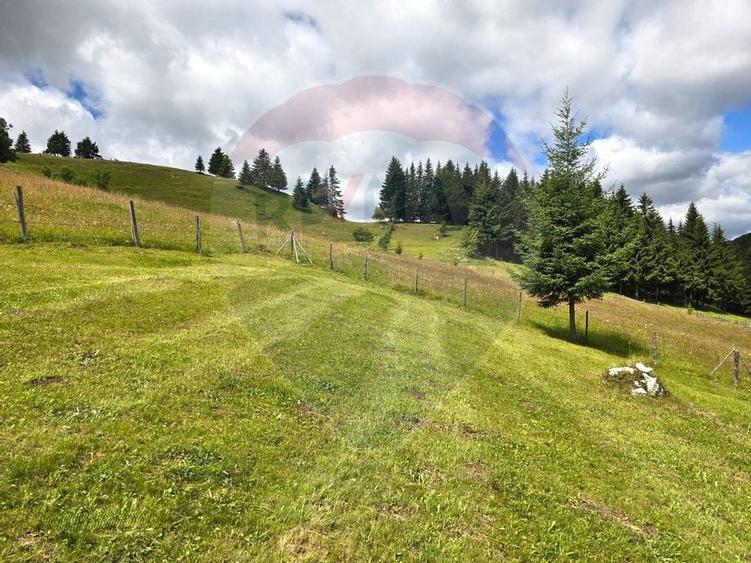 Teren de vis în Fundata 1934mp sau 3868mp, la înălțimea sufletului tău - 13