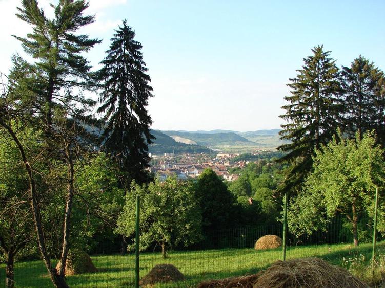 Proprietate unica in Sighisoara 33000mp + casa de 280mp - 6