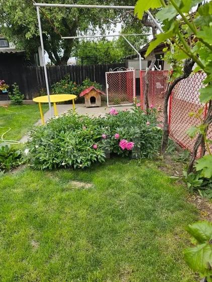 Casa parter Filiasi, renovata complet, 140 mp utili, 1187 mp teren - 8