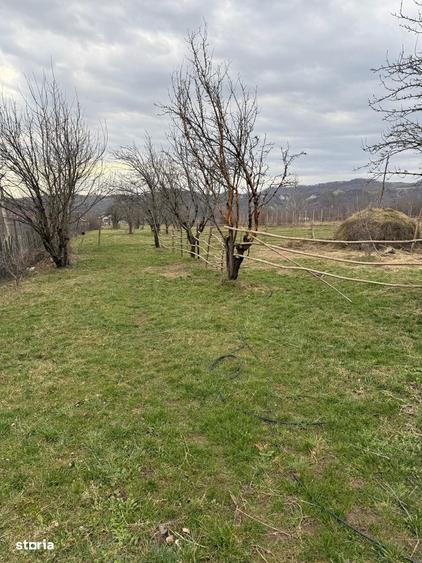 Brebu - teren intravilan 5200mp parcelabil - 25 Euro/mp - 9