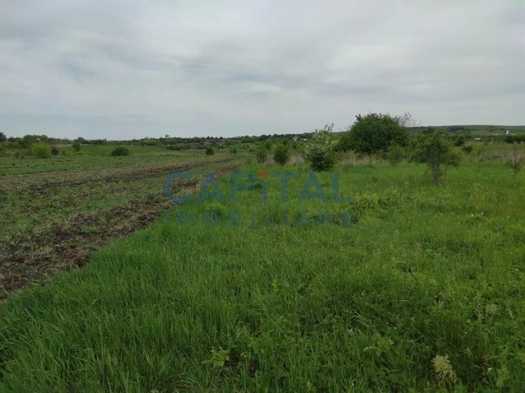 Comision 0%! Oportunitate, teren intravilan, 800 mp Masterplan, Sopor - 3