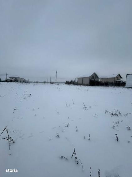 COMISION 0%!!! Teren intravilan,750 mp, in Viisoara - 5