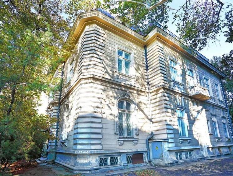 Vila cu arhitectura deosebita, B-dul Dacia, teren 1200 mp - 2