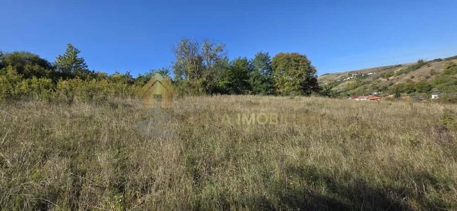 TEREN INTRAVILAN 11000 MP - 8