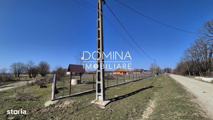 Vanzare casa cu teren generos 8.658 mp, Scoarta Budieni - 6