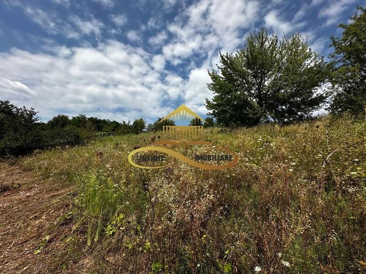 Teren extravilan 1870 mp-de vanzare 14EUR/mp Sohodol / Bacau - 3