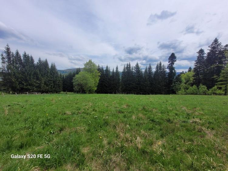 Teren intravilan de vanzare in Busteni - 2