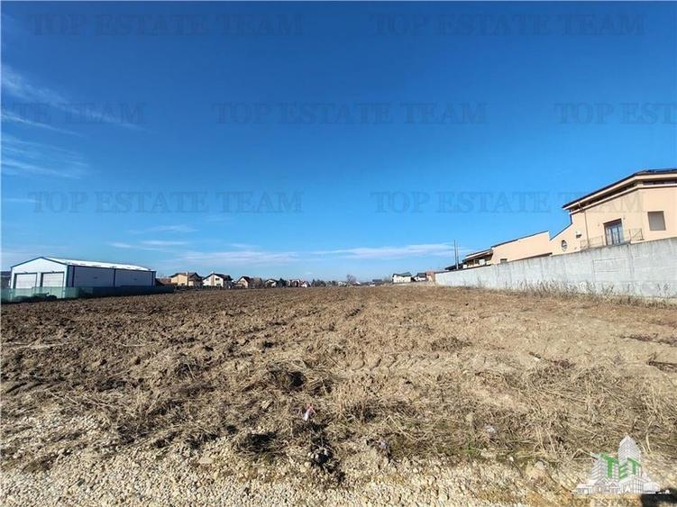 Balotesti - Teren intravilan cu toate utilitatile - 1