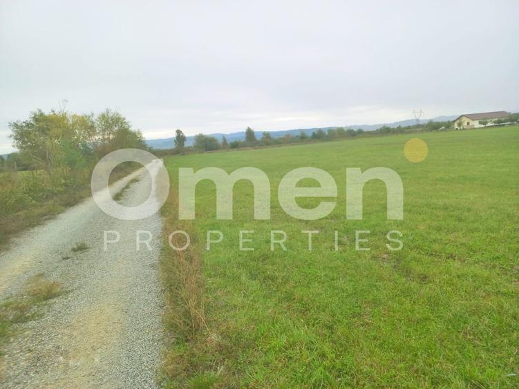 Teren intravilan 7.631 mp – Săcălășeni, lângă Baia Mare , utilități la drum - 5