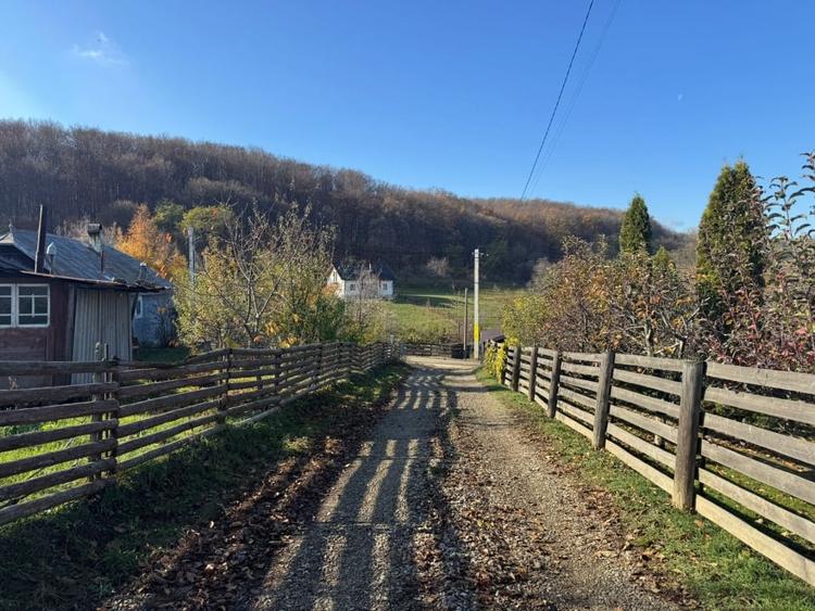 Vanzare  1400mp teren imprejmuit 2 loturi pt casa Adancata - sub padure - 2