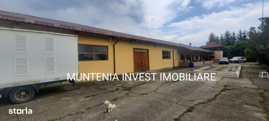 Proprietate de vanzare tip ferma, teren 28150 mp. Balilesti, Arges - 9