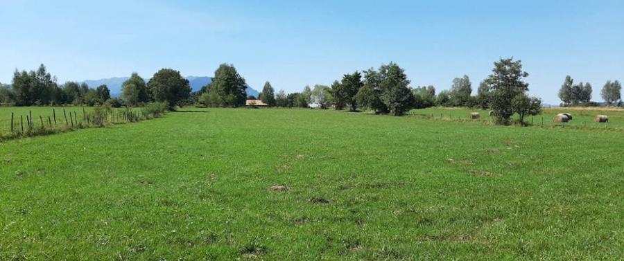 Teren 9350 mp Bran Livada, Extravilan - 7