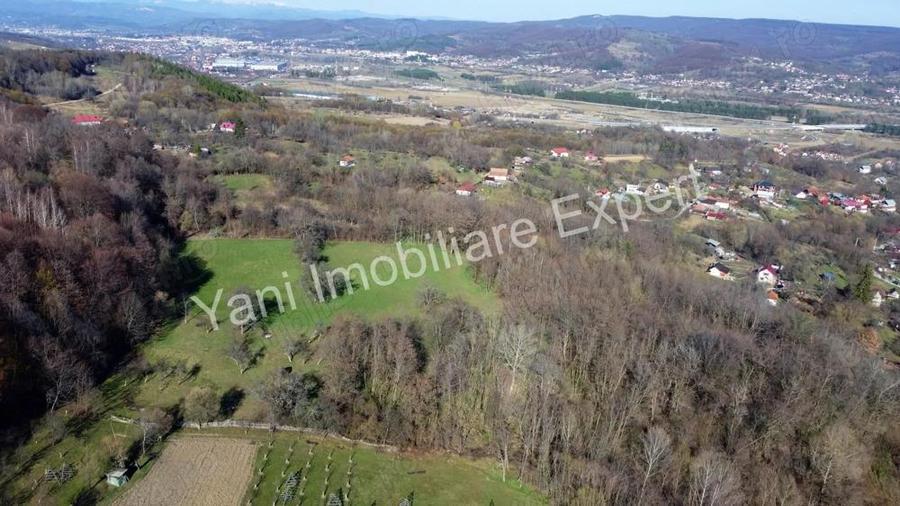 Teren 13.643 mp intravilan de vanzare in Curtea de Arge?. - 8