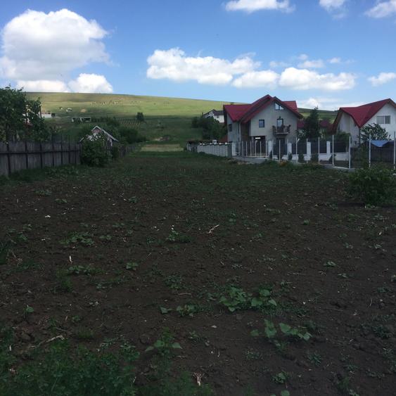 Teren de vanzare - 2