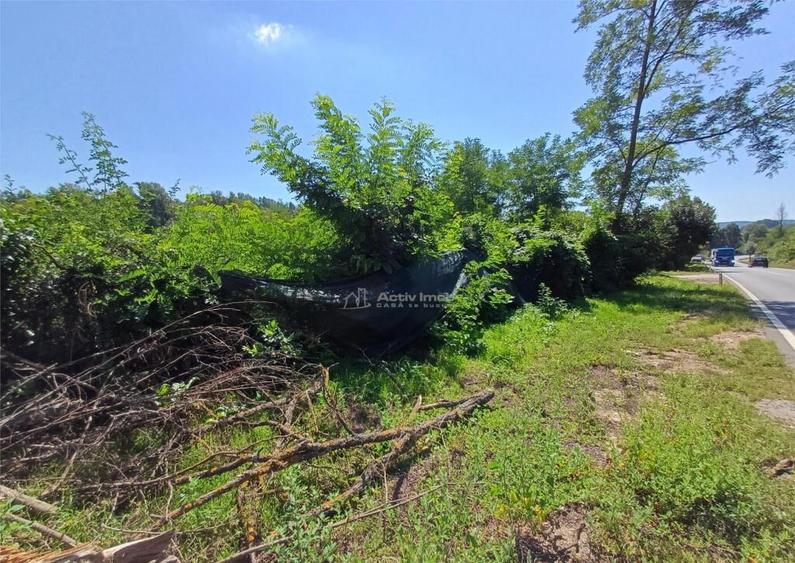 Resita, Teren Intravilan 5615 Mp., 25 Euro/Mp., Calea Carans - 16