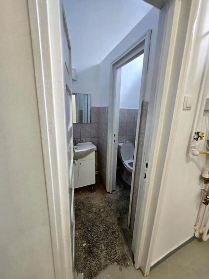 Spa?iu Comercial de inchiriat Baia Mare (Zona Comerciala) - 5