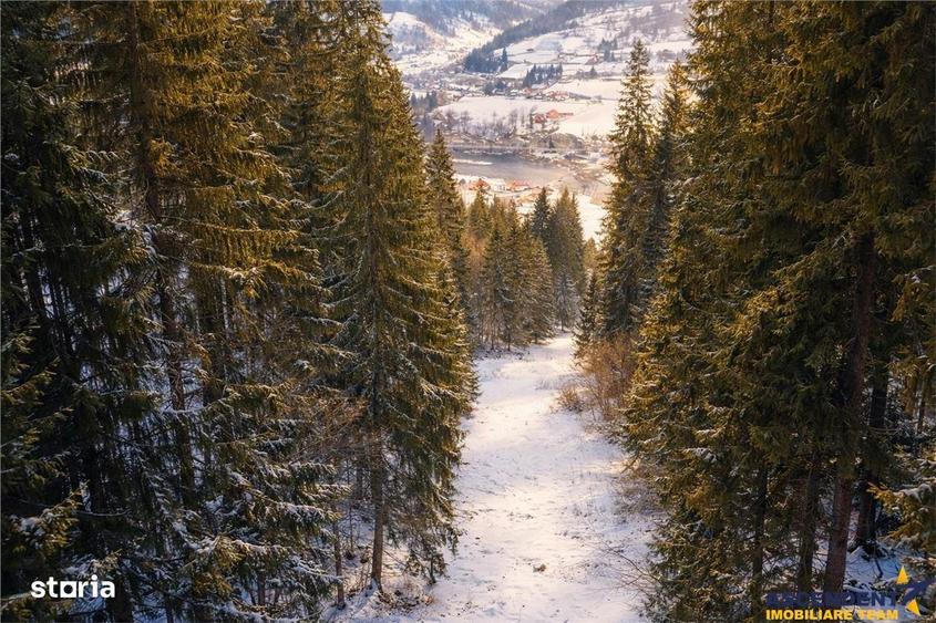 Teren de 7800 mp, în Lunca