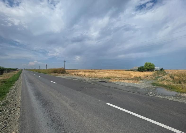 Teren Construcții intravilan de 70000 mp, în Mihail Kogălniceanu