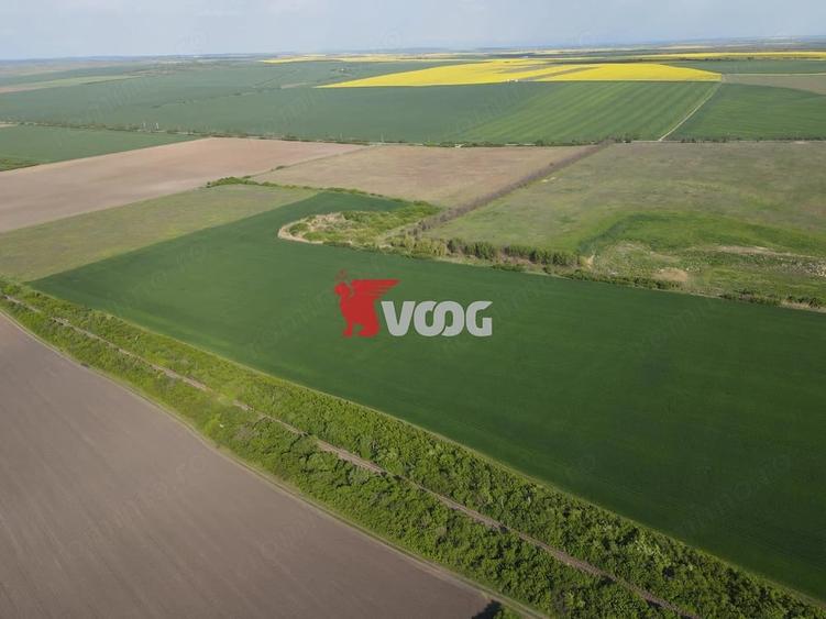 Teren extravilan 10 ha -Giarmata, langa nodul de autostrada - 1