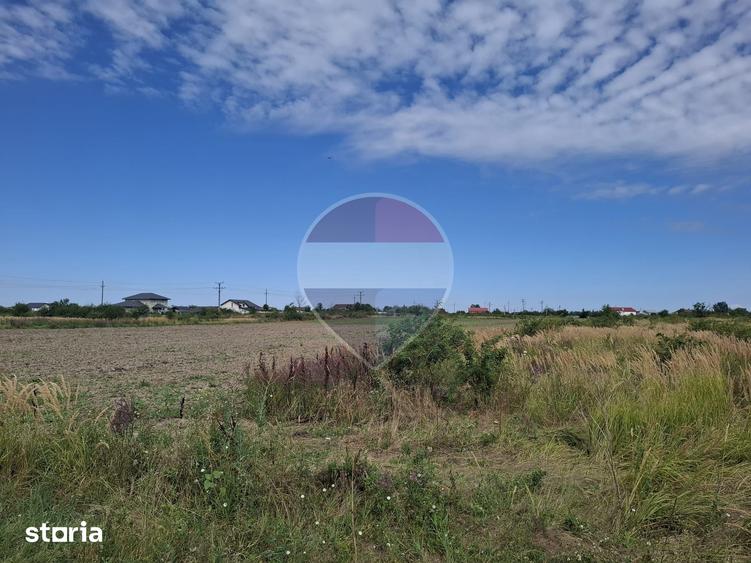 Teren de 28800 mp, în Drăgănescu