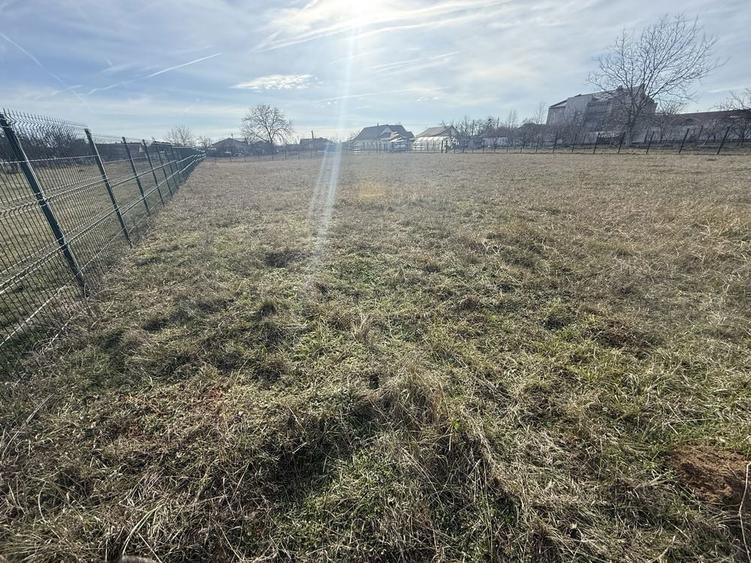 Teren intravilan Baicoi (Tufeni) - 2