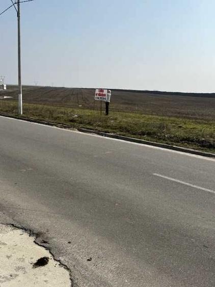 Teren Intravilan Pielesti, 7274mp - 10