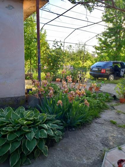 Vind casa cu teren Intravilan in Rimnicu-Vilcea Str. Buridava 34 - 12