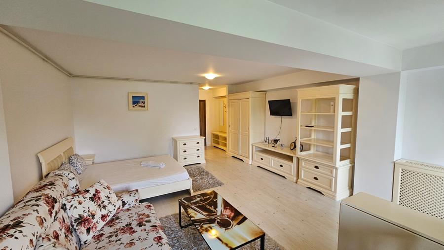 Garsoniera zona Otopeni (Aeroport) bloc NOU, Mobilata-Utilata MODERN - 12