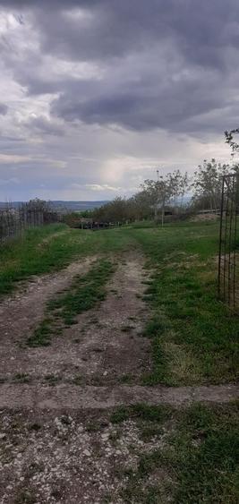 teren intravilan intabulat - 3