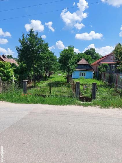 Vand casa batranesc - 1