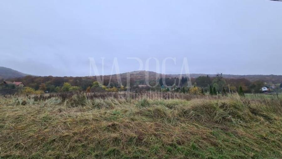 Teren intravilan industrial de vanzare in Gilau - 1