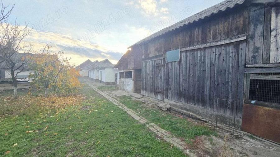 Casa de vanzare, loc. Cefa - 12