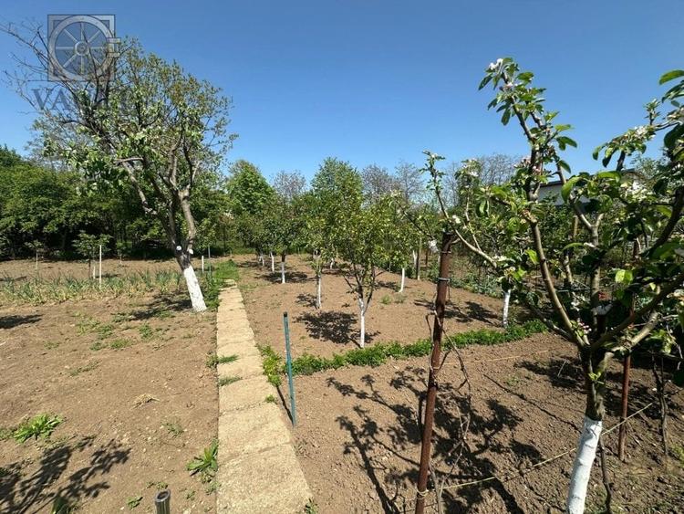 Casa - Mogosoaia -Individuala - 16