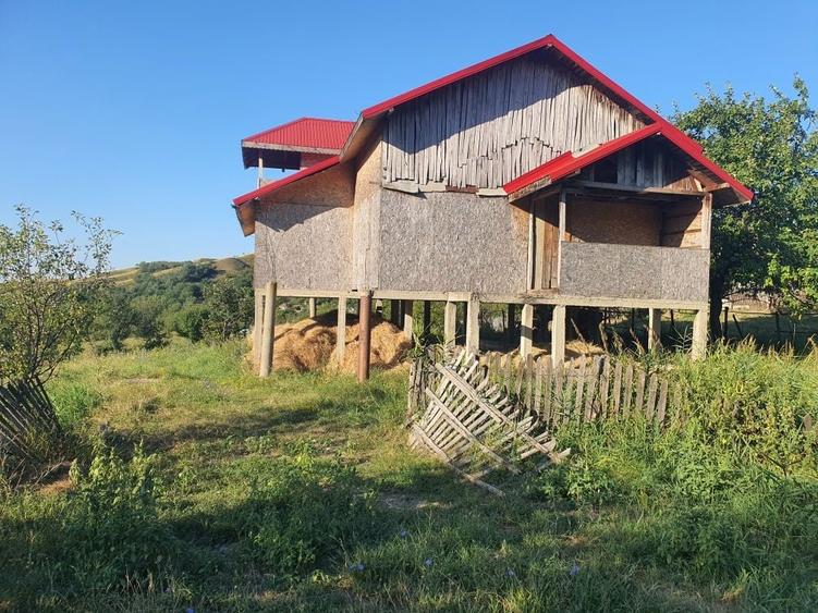 Casa de vanzare,2000 mp teren - 8