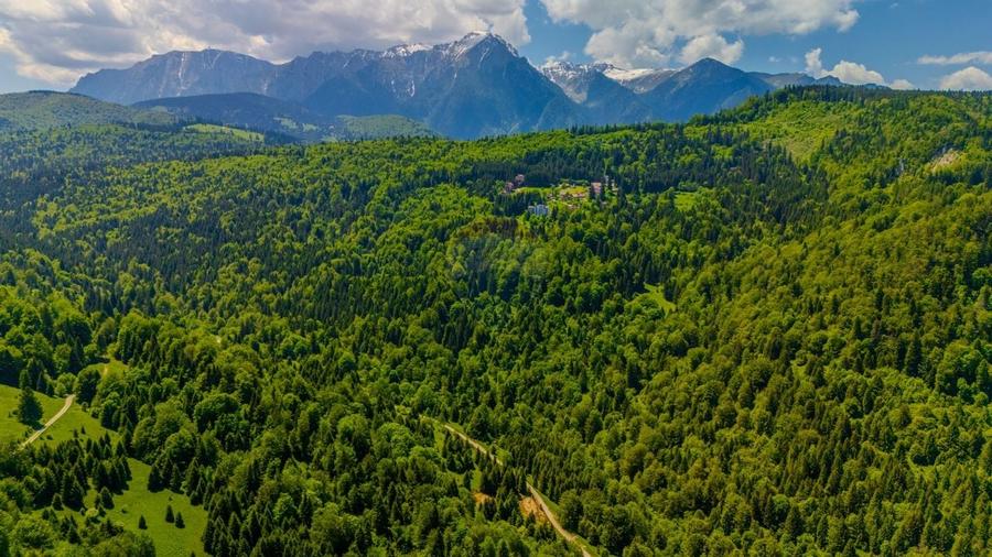 Teren extravlan 14,400mp Paraul Rece / Strada 3 brazi - 1