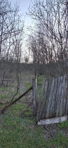 Casa la ?ara + 4098 mp teren + anexe 22.900 - 2