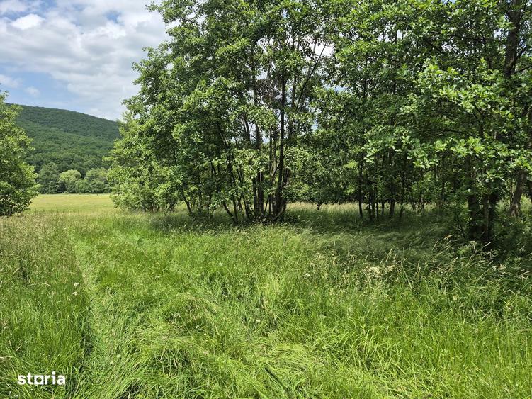 Casa de vacan?a in construc?ie, teren 5600 mp - 1