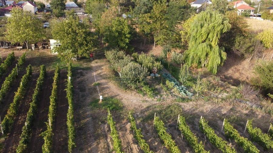 Teren intravilan Tecuci/Podgorie si Pomi Fructiferi/5000 mp - 5