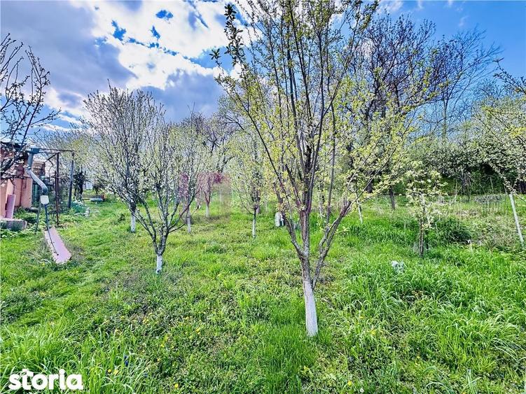 Casa individuala de vanzare in Nucet | Rosia | teren 747 mp | livada, - 15