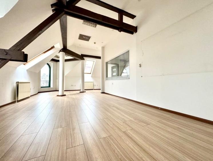 Vila D+P+E+M, 480 mp utili, Aviatorilor - 11