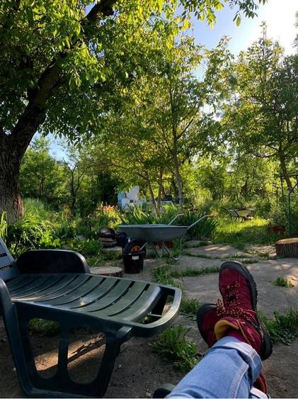 Casa de vanzare sat Tes, jud.Timis - 7
